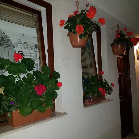 Pensjonat Casa Germanoff 4*